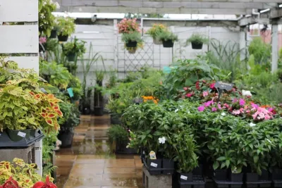 Boutique + Garden Center — Landscape Design project by The Plant Gallery