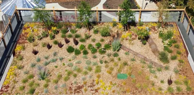 Ballard-Seattle Sustainable Condo — Landscape Design project by The Watershed Company in Seattle