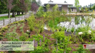 Bellevue Botanical Garden — Landscape Design project by The Watershed Company in Bellevue