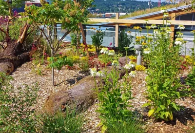The Watershed Company - Landscape Design in Seattle, WA