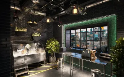 Canine Spa - 3D Visualization — Architectural & Building Design Services project by The View Pro Inc. - 3D Rendering, Visual Tour, VR
