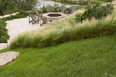 Thompson and Hanson - Landscape Maintenance in Houston, TX