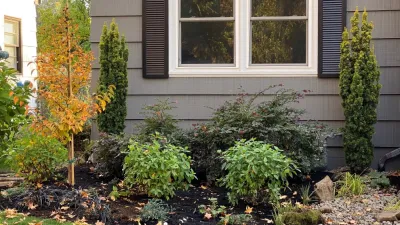 Thrive Landscape Design - Outdoor Lighting Installation in Portland, OR