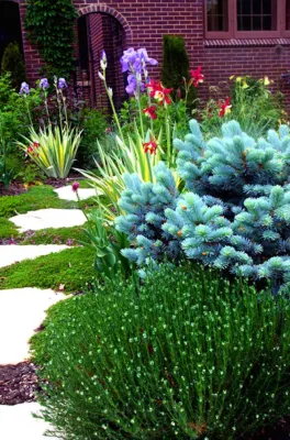Thunderbird Design - Paver Installation in Denver, CO