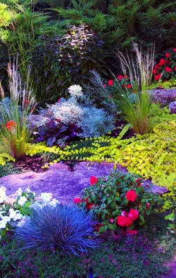 Thunderbird Design - Paver Installation in Denver, CO