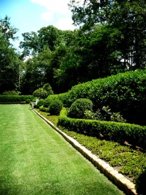 Tim Wolfe Design, LLC - Garden Remodeling in Decatur, GA