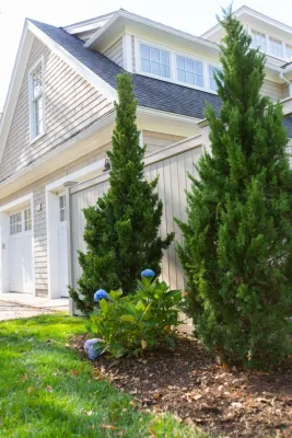 Tish Landscape Design - Garden Remodeling in Hingham, MA