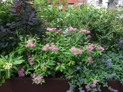 Todd Haiman Landscape Design - Garden Remodeling in New York, NY