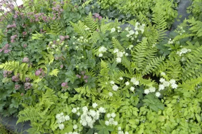 Todd Haiman Landscape Design - Garden Remodeling in New York, NY