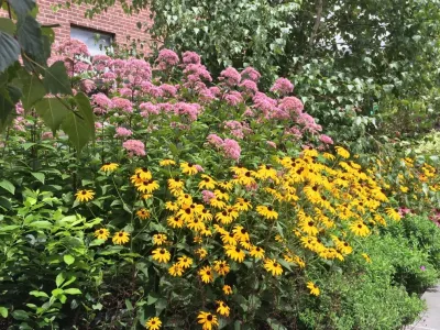 Todd Haiman Landscape Design - Garden Remodeling in New York, NY