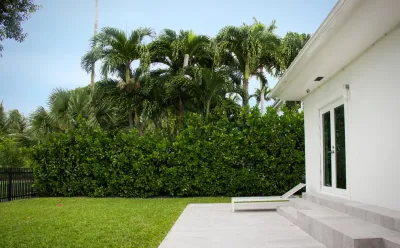 Topo_graphic - Landscape Design in Punta Gorda, FL
