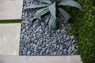 Topo_graphic - Landscape Design in Punta Gorda, FL