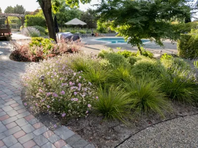 Topophyla - Garden Remodeling in Goleta, CA