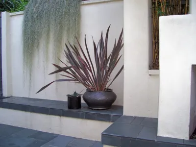 La Jolla Modern Coastal Courtyard — Landscape Design project by Torrey Pines Landscape Co., Inc