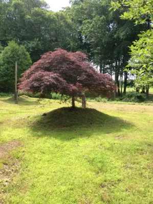 Total Concepts Premier Landscape Solutions - Sprinkler Installation & Repair in Colts Neck, NJ