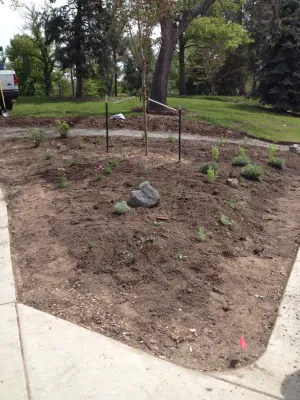 Tread Lightly Design - Landscape Design in Denver, CO