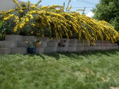 Tread Lightly Design - Landscape Design in Denver, CO