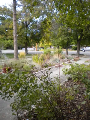 Tread Lightly Design - Landscape Design in Denver, CO