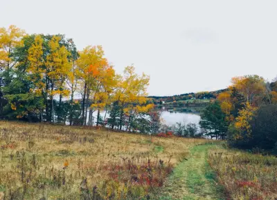 Carol Gregor Design Build - Landscape Construction in Brooksville, ME