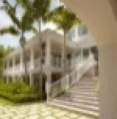 Hamptons meets Tropics — Landscape Design project by Bell Landscape Architecture Inc.