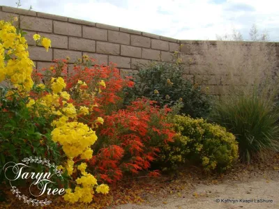 Treehouse Landscape Design - Outdoor Lighting Installation in Camarillo, CA