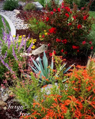 Treehouse Landscape Design - Outdoor Lighting Installation in Camarillo, CA