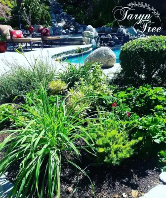 Treehouse Landscape Design - Outdoor Lighting Installation in Camarillo, CA
