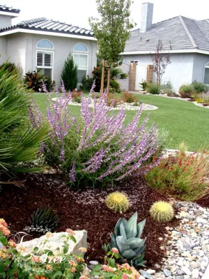Treehouse Landscape Design - Outdoor Lighting Installation in Camarillo, CA