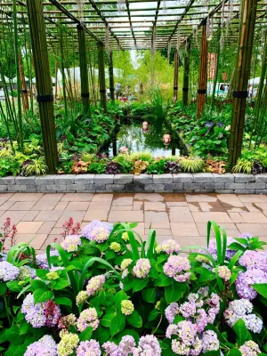 Treeline Designz - Garden Remodeling in Portland, OR