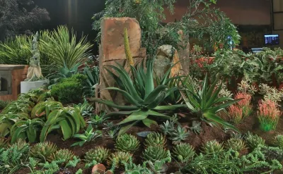 Treeline Designz - Garden Remodeling in Portland, OR