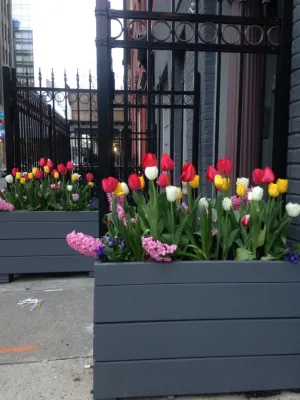 Bella Gardens - Garden Remodeling in New York, NY