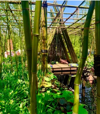 Treeline Designz - Garden Remodeling in Portland, OR