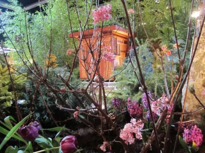 Treeline Designz - Garden Remodeling in Portland, OR