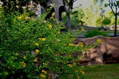 Our Work — Landscape Design project by Tricia Quaid Landscape Design, Inc