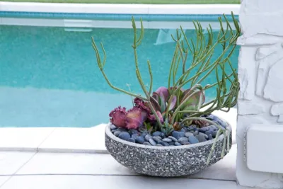 Troy Bankord Design - Landscape Design in Palm Springs, CA