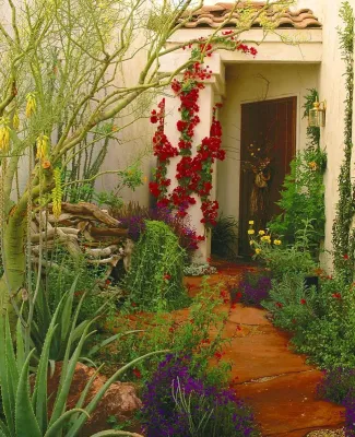 Troy Bankord Design - Landscape Design in Palm Springs, CA