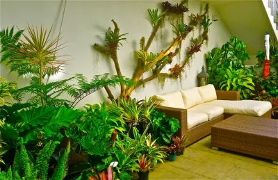 Tru Vine Design - Patio Design & Installation in Delray Beach, FL