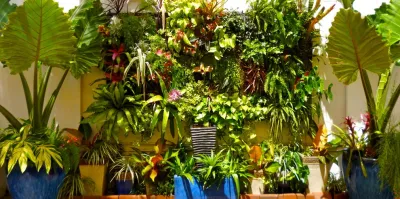 Living Walls — Landscape Design project by Tru Vine Design