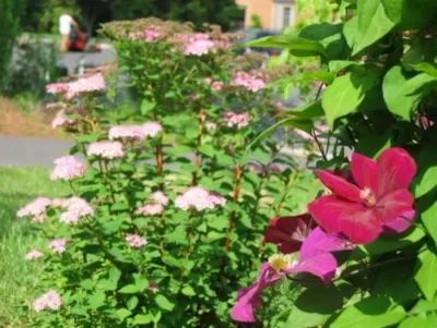 Landscape Design — Landscape Design project by Bella Terra Landscapes, LLC