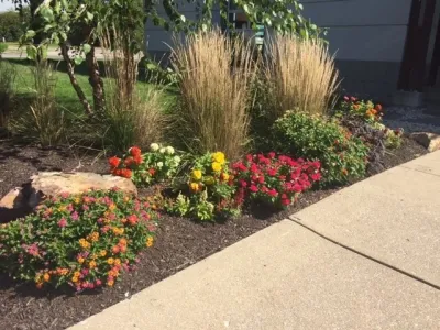 True North Landscaping - Landscape Maintenance in Indianapolis, IN