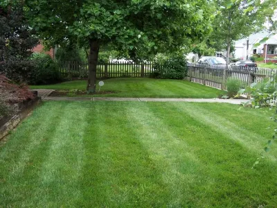 True North Landscaping - Landscape Maintenance in Indianapolis, IN