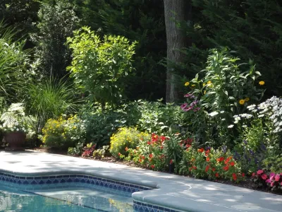 Perennial Garden for Pool in Westfield, NJ — Landscape Design project by Truesdale Nursery & Landscape Services in Westfield