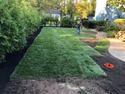 Side Yard grading project - (Before & After) — Landscape Design project by Truesdale Nursery & Landscape Services