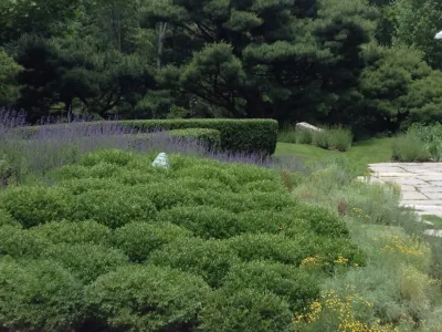 Ben Young Landscape Design - Landscape Design in Ketchum, ID