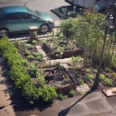 Twelve Gardens Ltd. - Garden Remodeling in Brooklyn, NY
