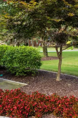 Twelve Oaks Landscape Co. - Garden Remodeling in Fort Payne, AL