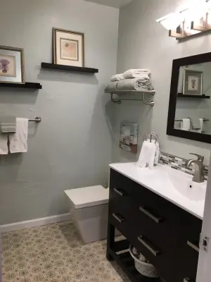 Guest Bathroom — Kitchen Remodeling project by DLM Designer/Remodeler Kitchen And Bath Plus