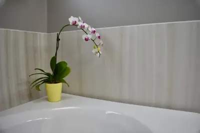 Custom Bath Solutions - Countertop Installation Services in Washington, IL