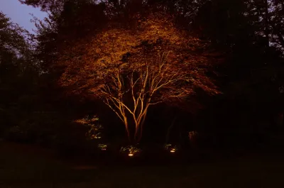 Ulrich Landscape Collaborative, LLC - Garden Remodeling in Beverly, MA