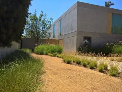 Southern California Allée — Landscape Design project by Uncommon Gardens in Santa Monica